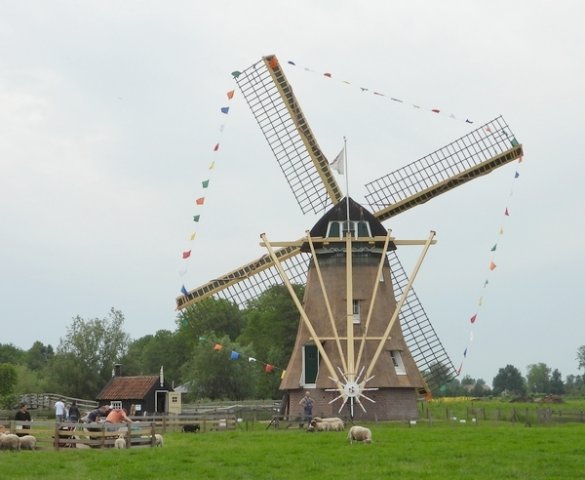 korenmolendejonge sophiaavonturenboerderijmolenwaardgrootammers22052020 2